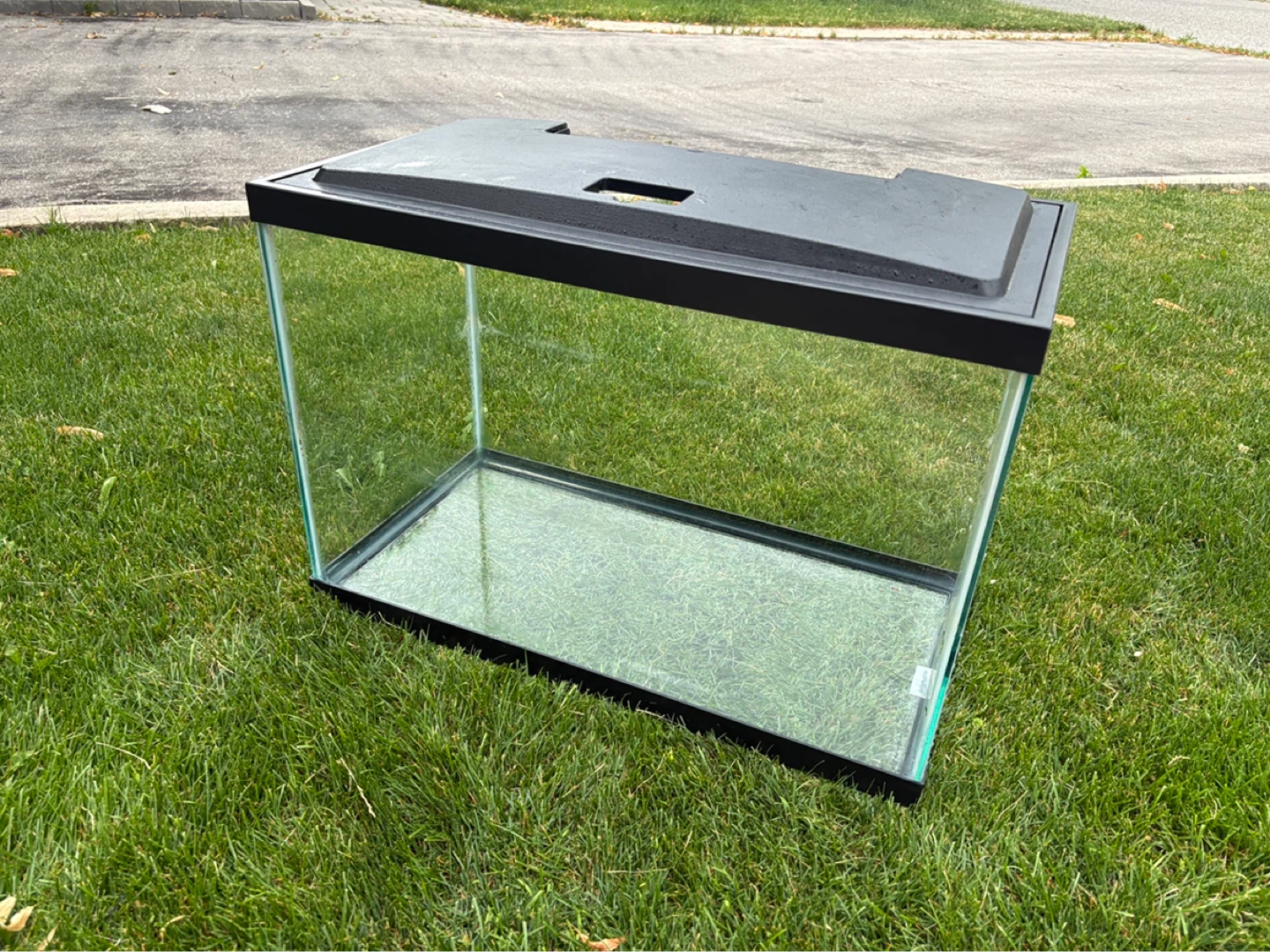 20 gallon tank with dual heat lamp and timer