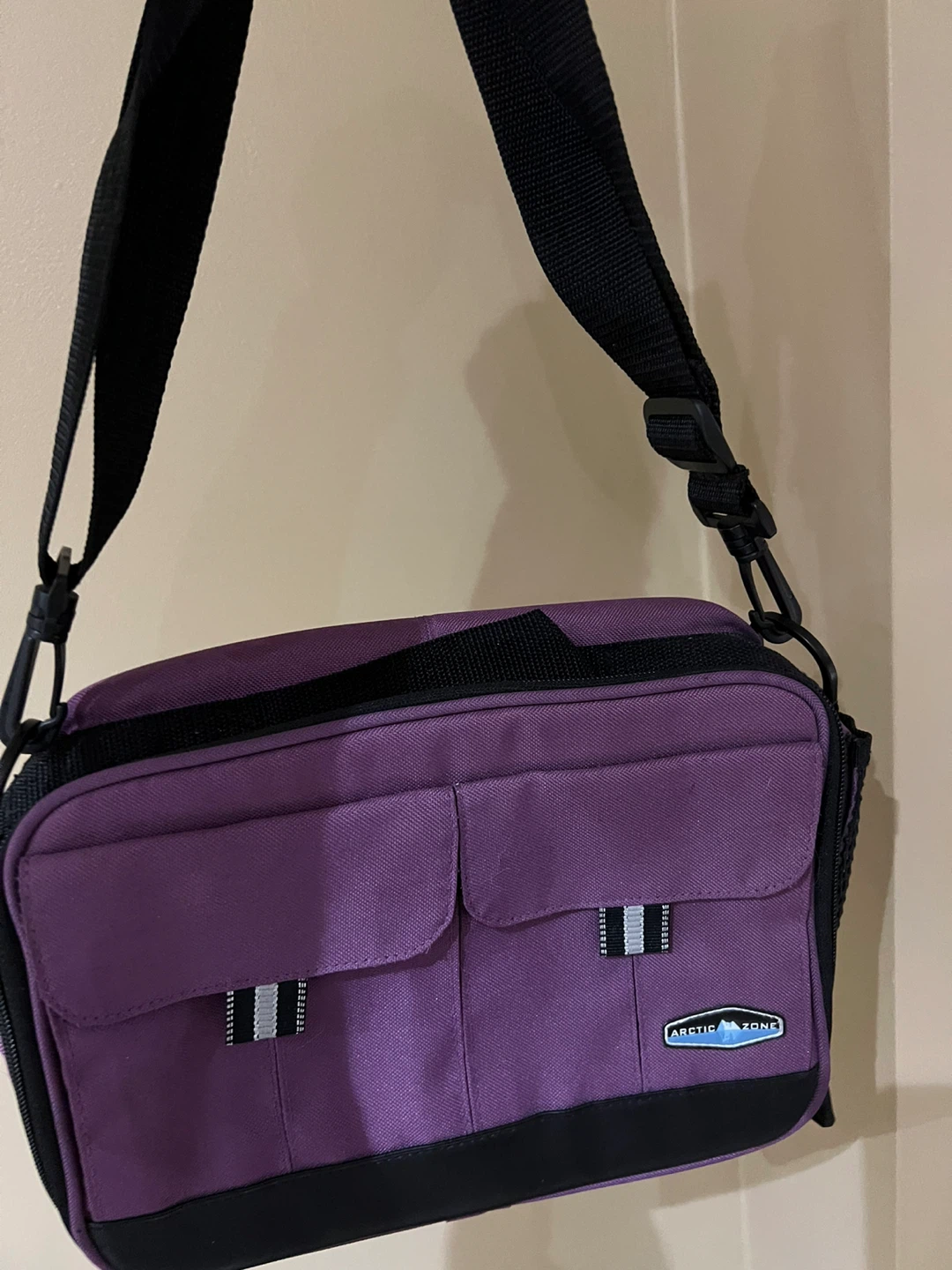 Arctic Zone Purple Insulated Lunch Bag