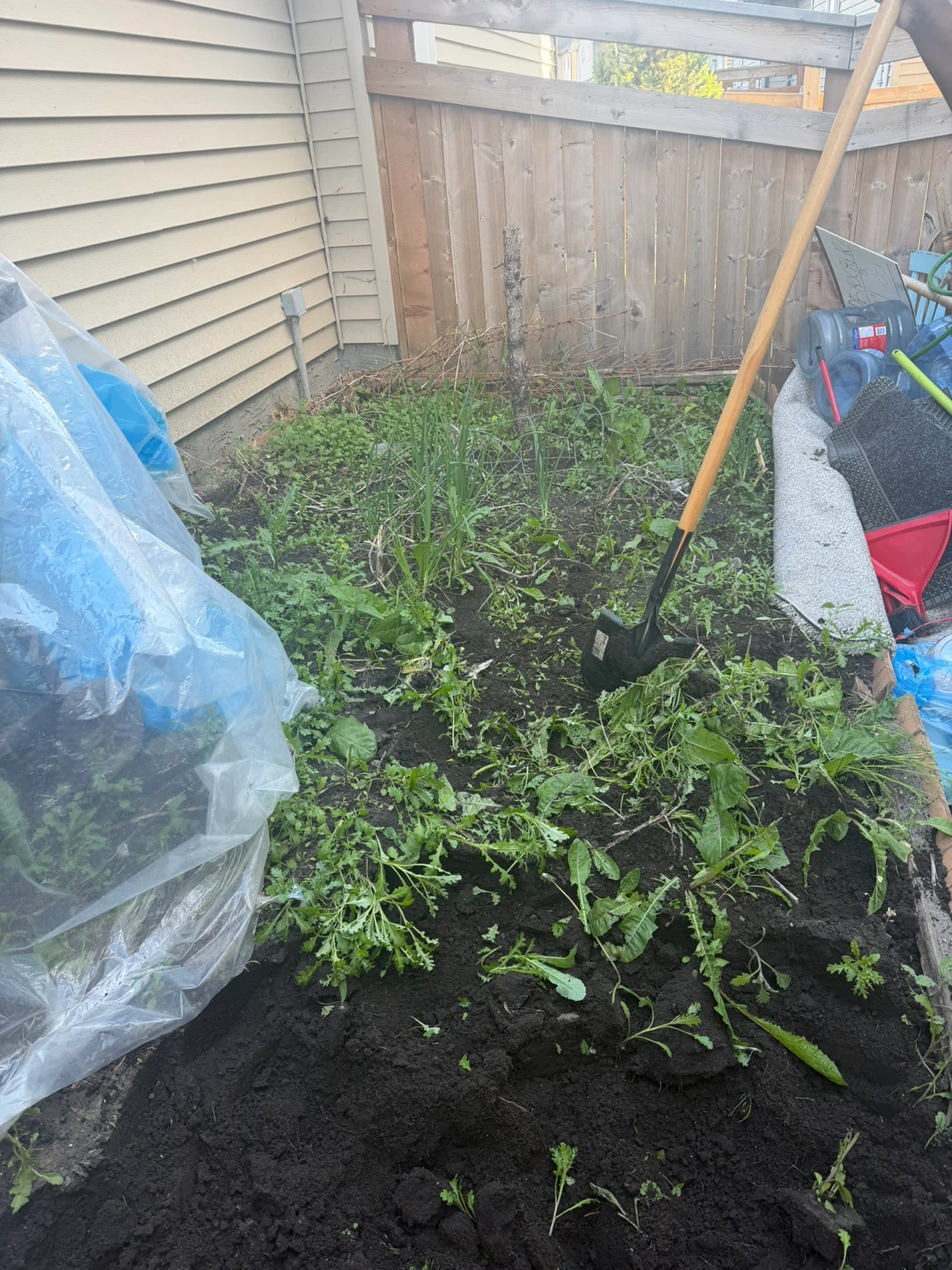 Free soil - photo 2
