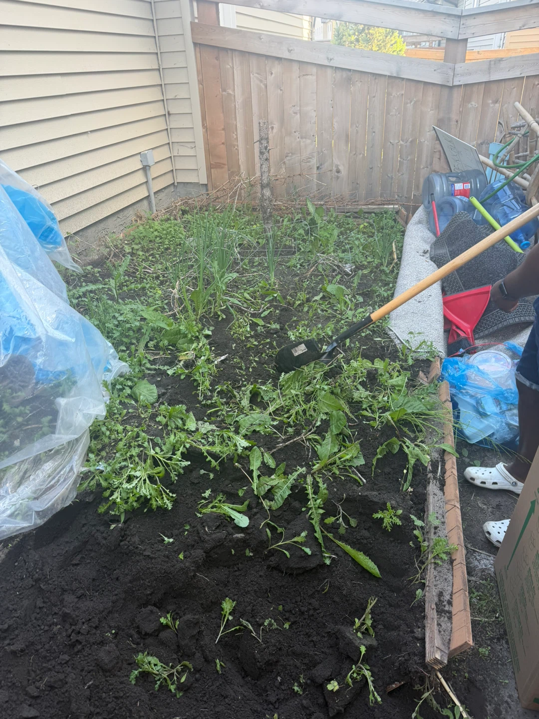 Free soil - photo 5