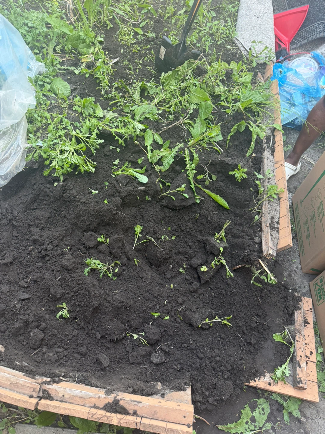 Free soil