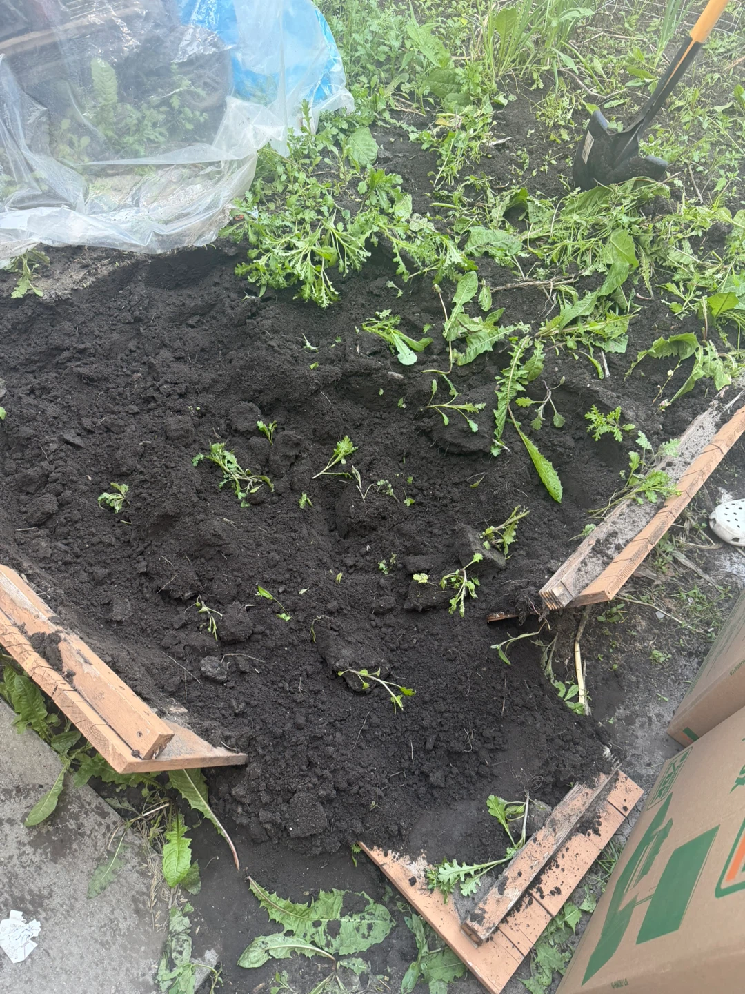 Free soil - photo 3
