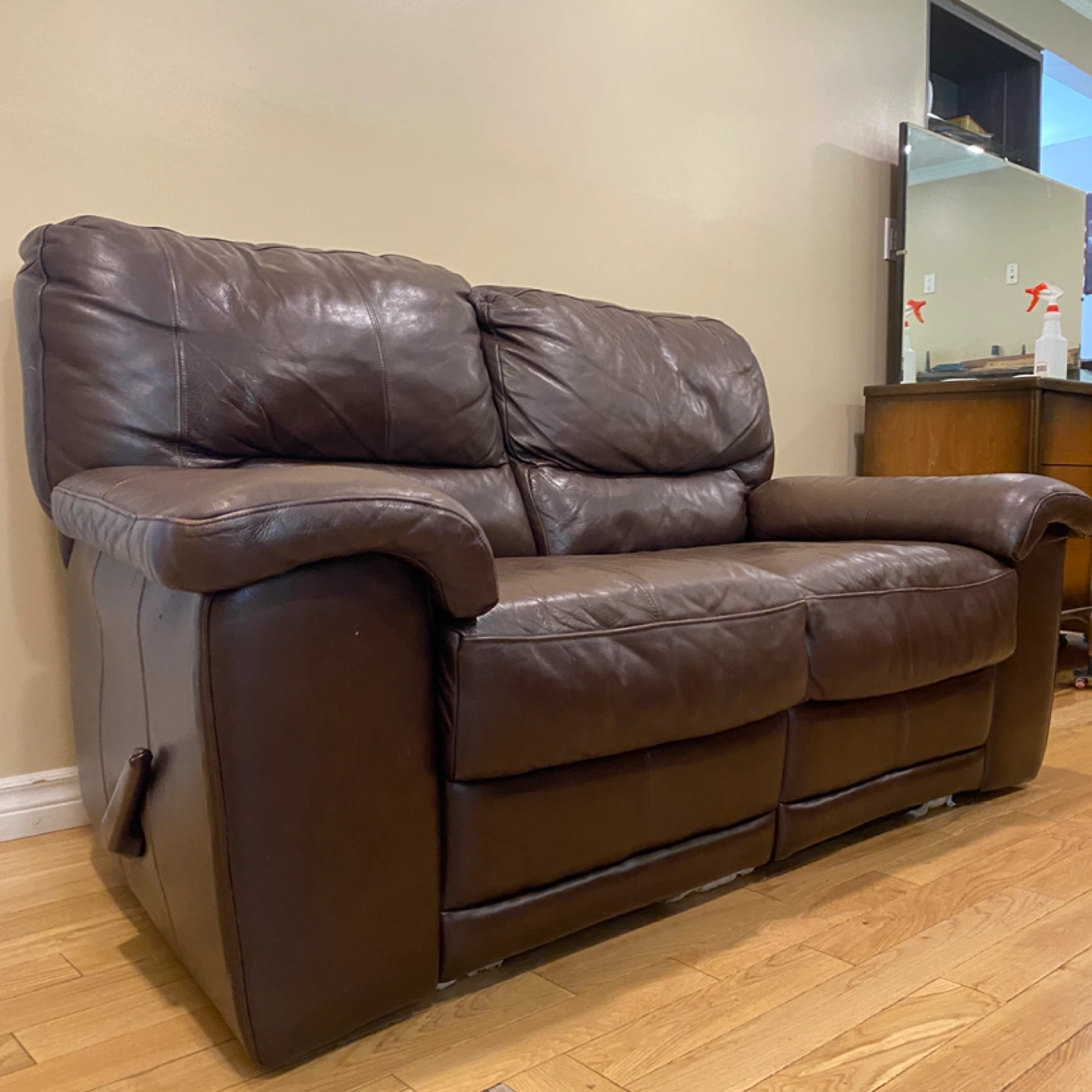 Elran Genuine Leather Reclining Loveseat Sofa (CAN DELIVER) - photo 5