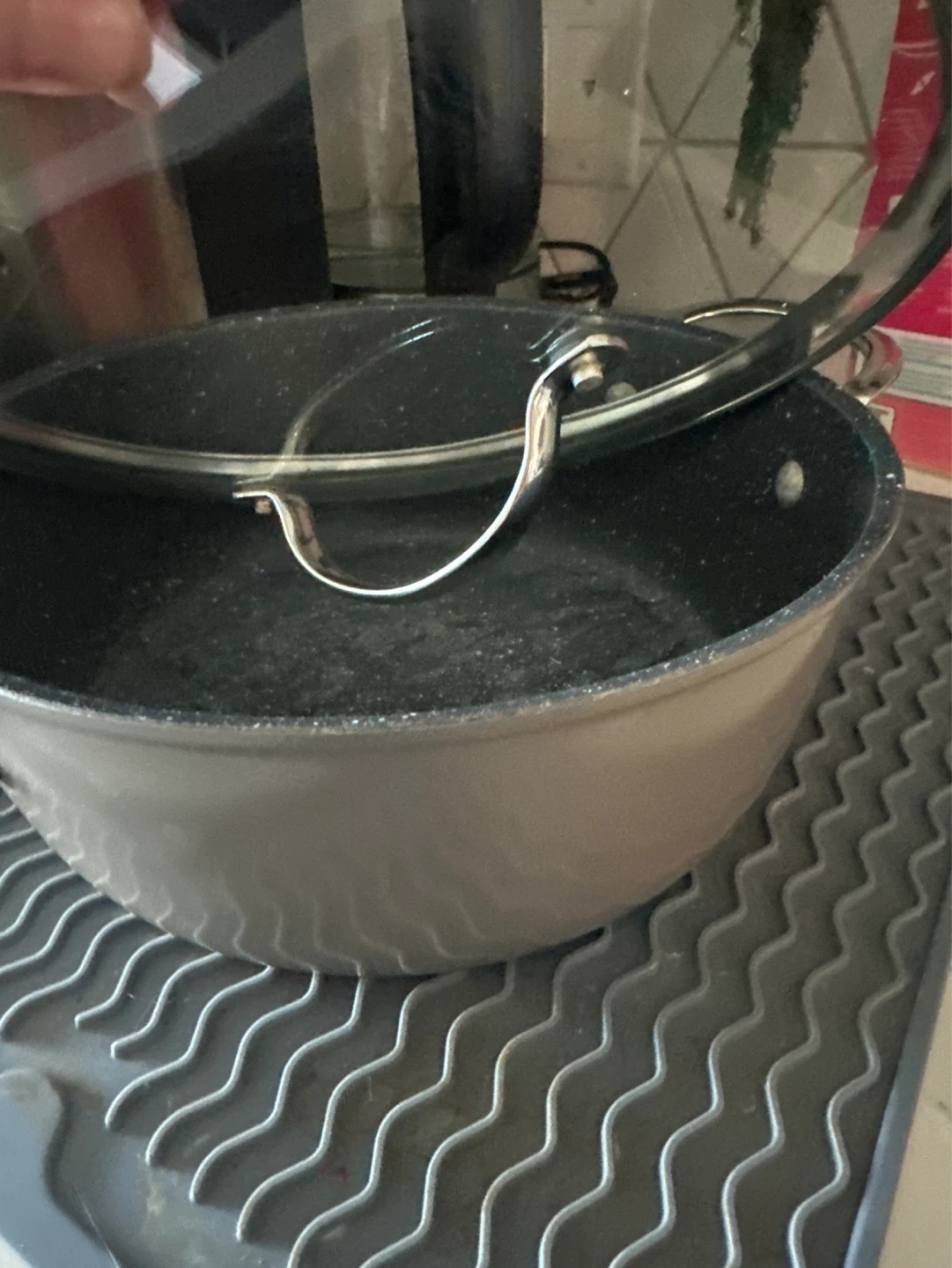 Grey Stock Pot with Glass Lid