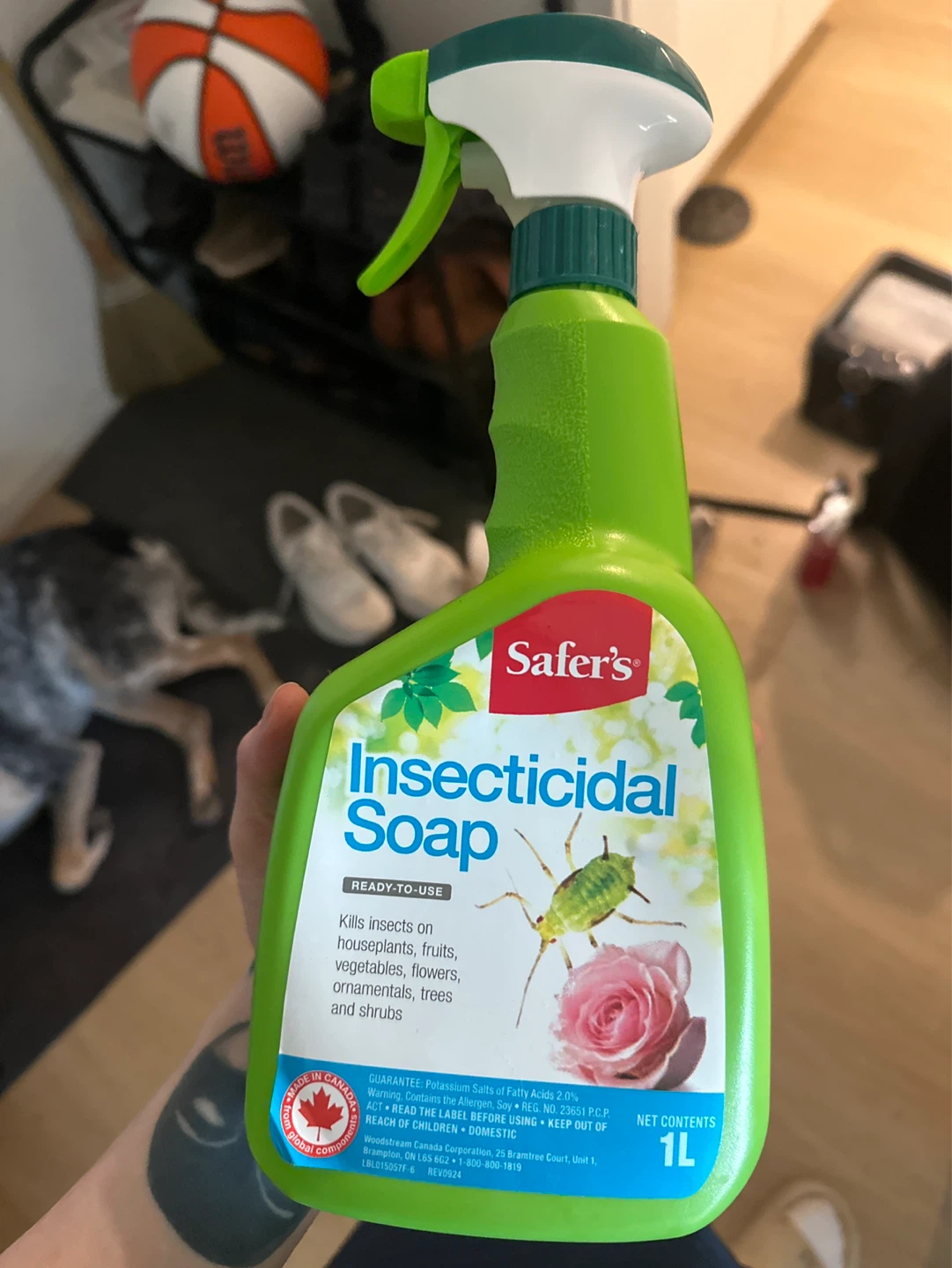 Safer's Insecticidal Soap Ready-to-Use - 1L