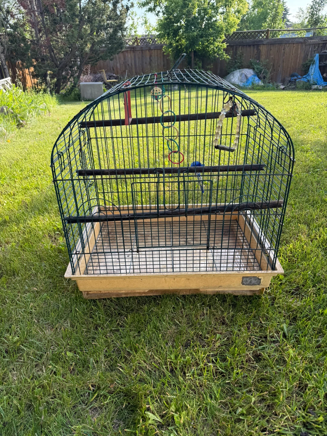 Green Bird Cage with Perches and Toys