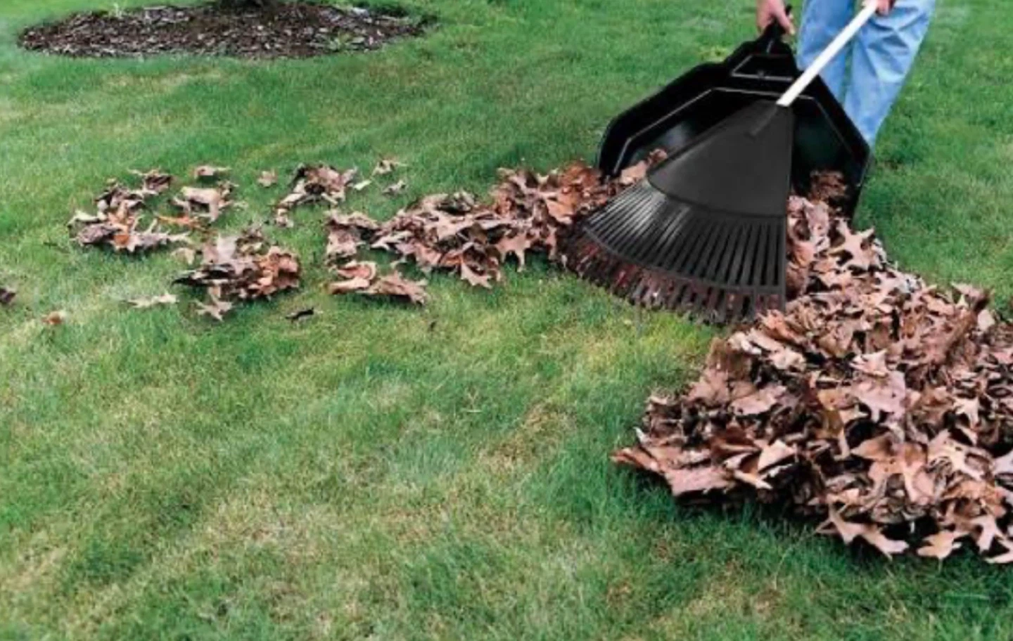 LAWN-MOWING SERVICES - photo 3