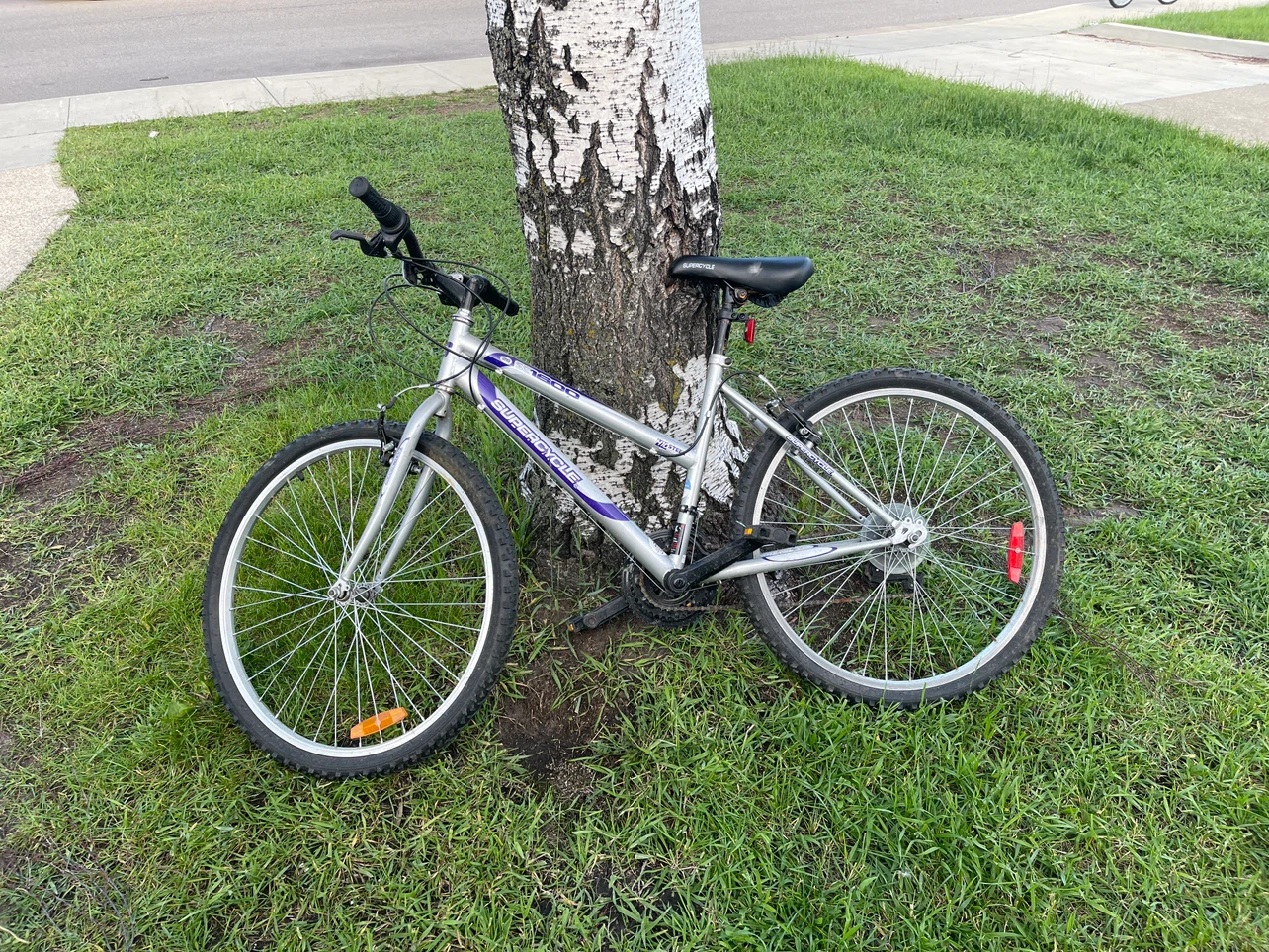 Supercycle Silver Mountain Bike