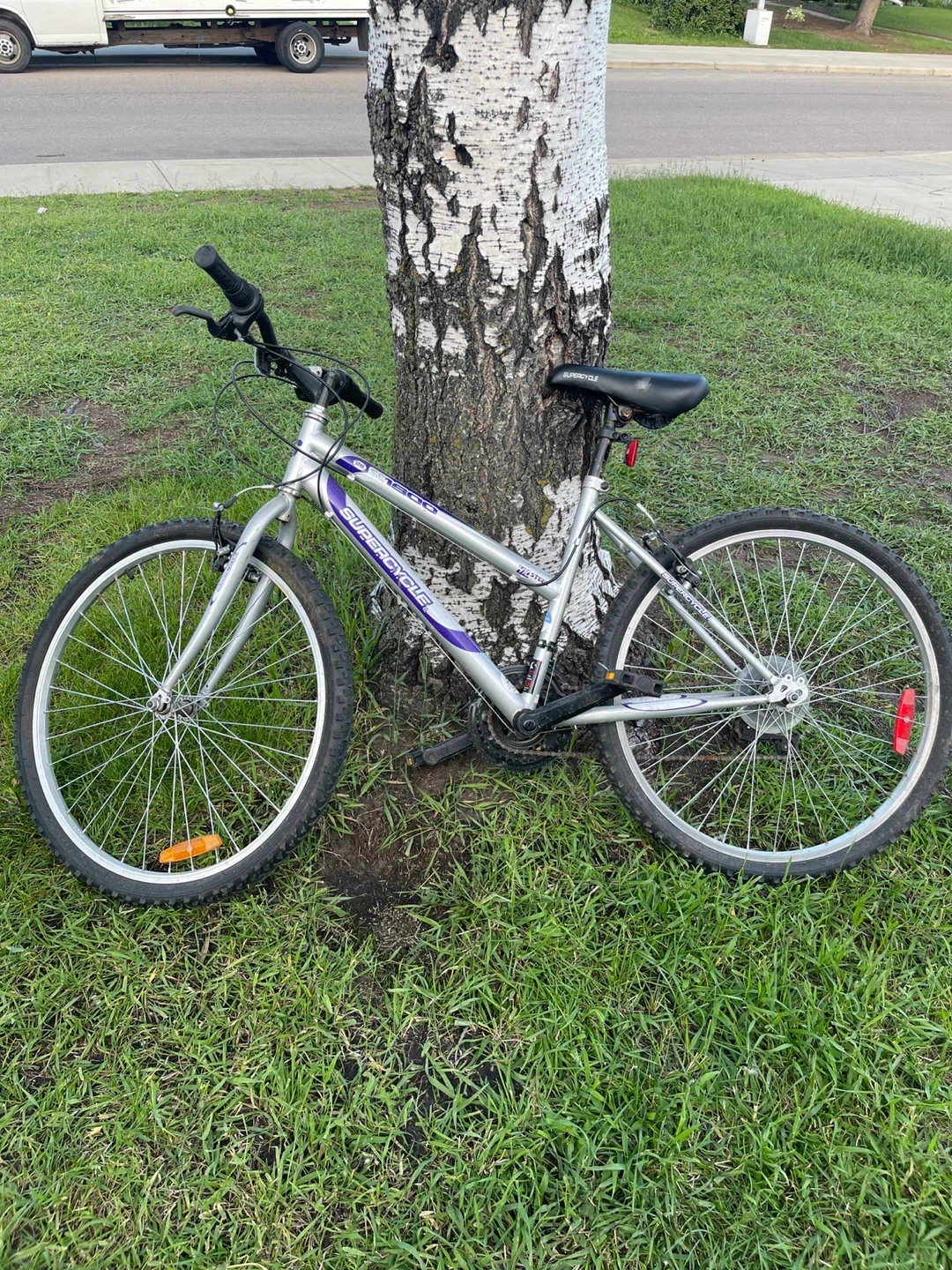 Supercycle Silver Mountain Bike - photo 2