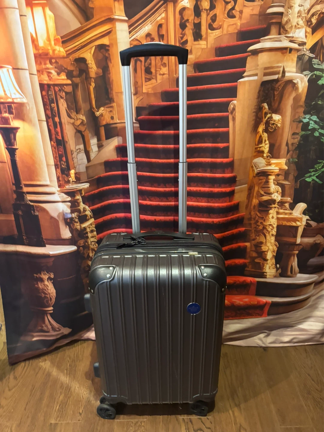 Hallmark Design Collection Carry-On Suitcase - photo 3