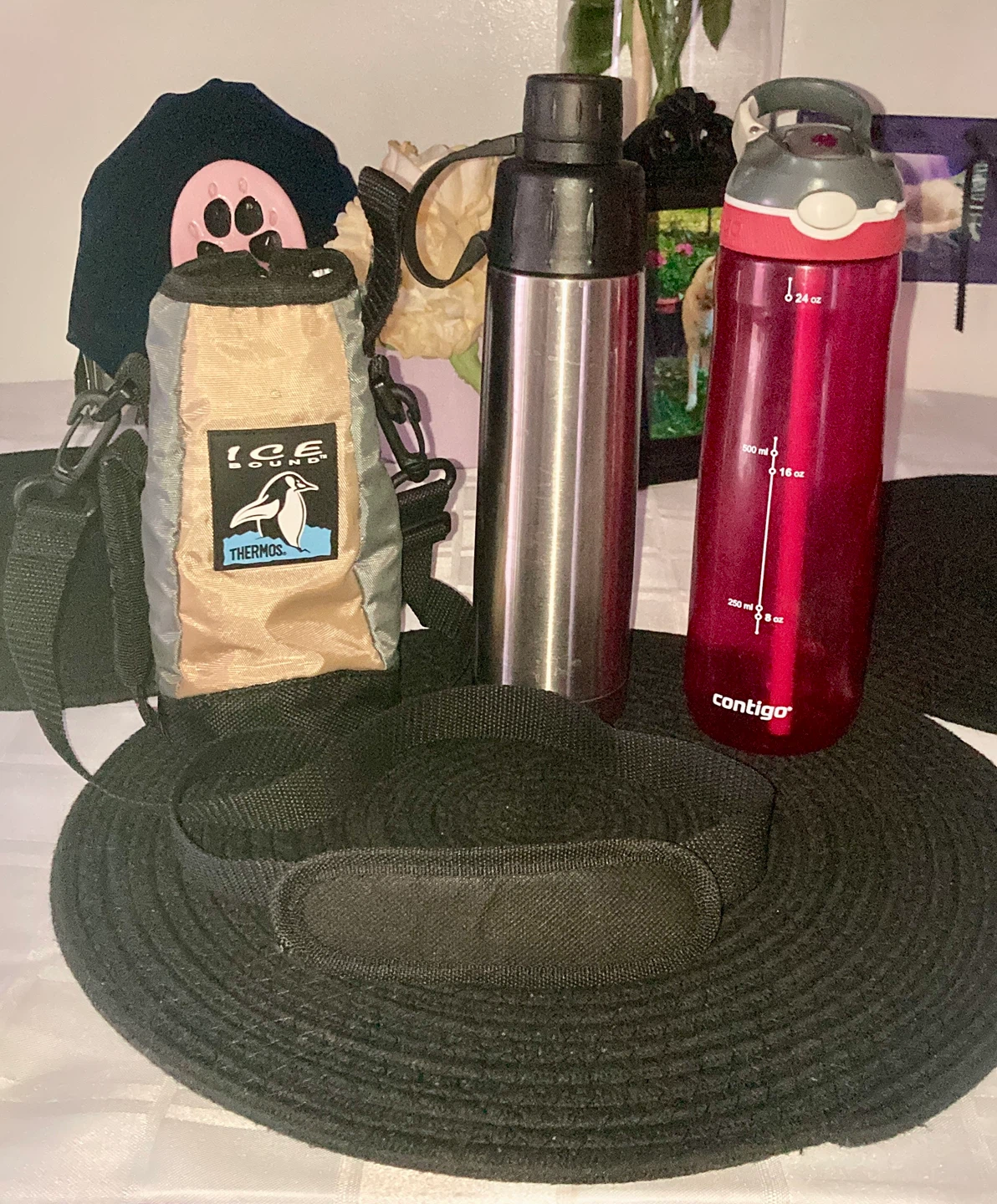 Water bottles with carrier