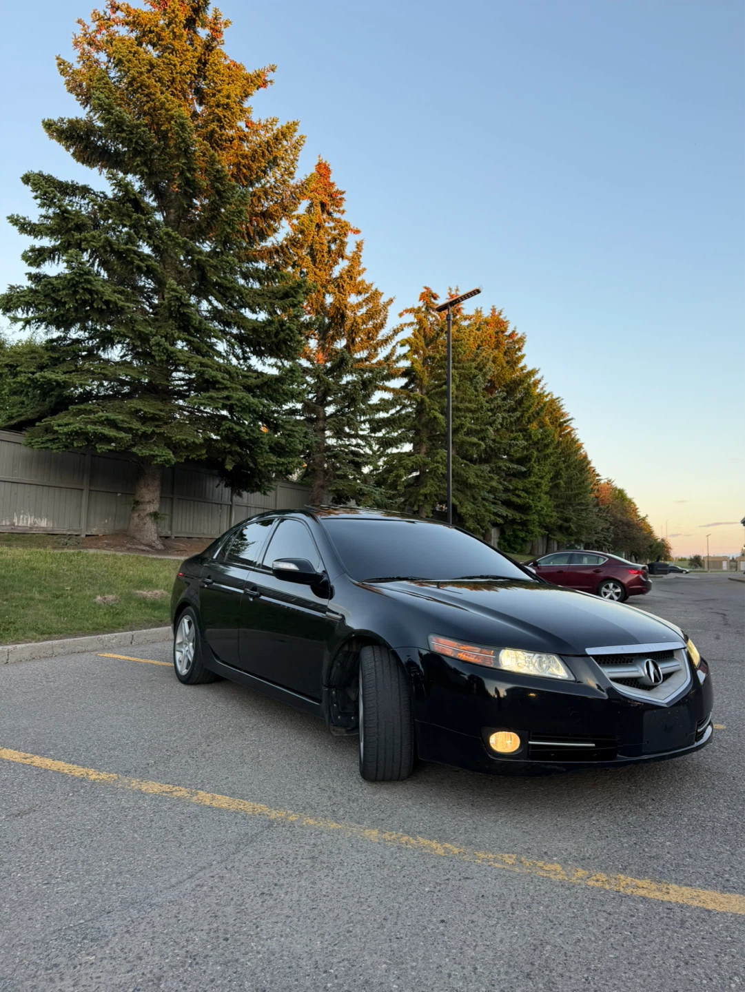 2008 Acura tl - photo 5