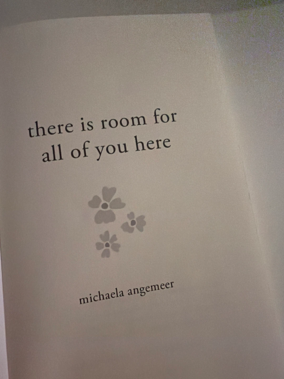 Michaela Angemeer – There Is Room For All Of You Here - photo 3