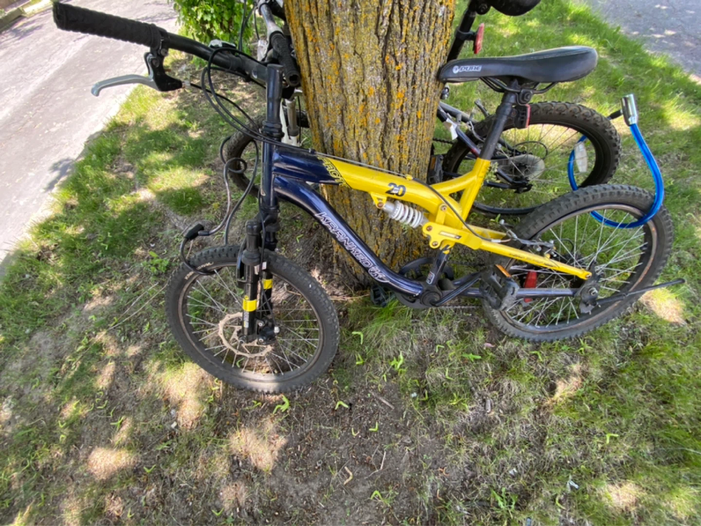 2 Kids/Youth Mountain Bikes