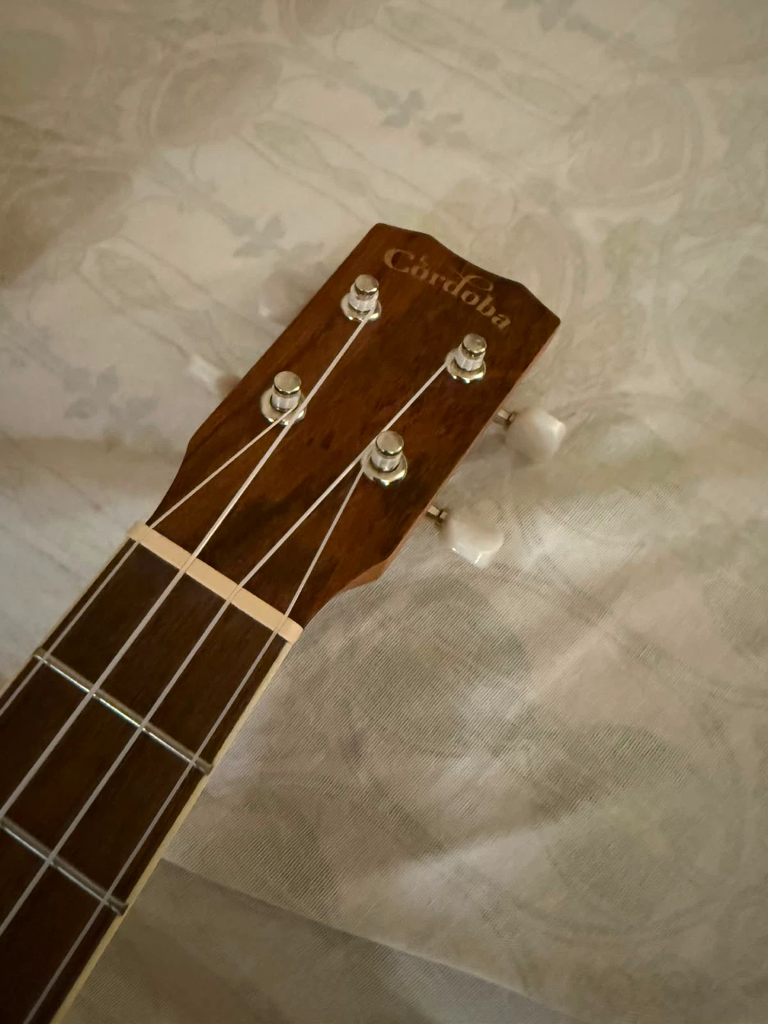 Cordoba Ukulele - photo 2