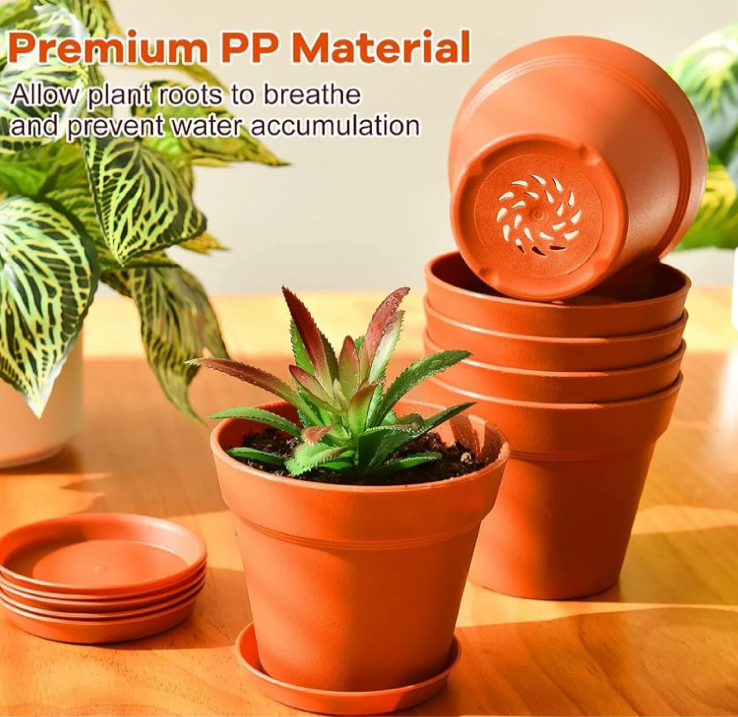 60 Pack Small Plastic Plant Pots with Saucers, 3.5 Inch - photo 2