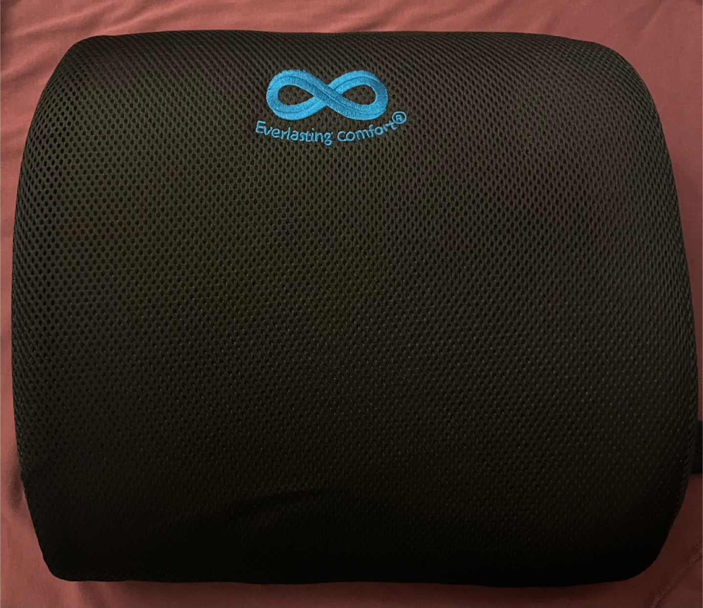 Everlasting Comfort Black Back Cushion - photo 3