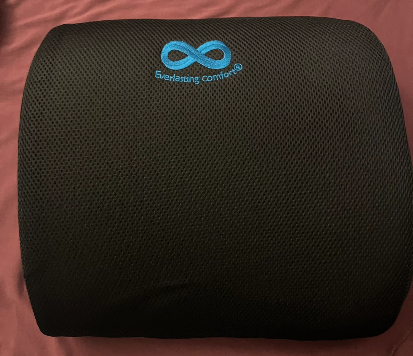 Everlasting Comfort Black Back Cushion