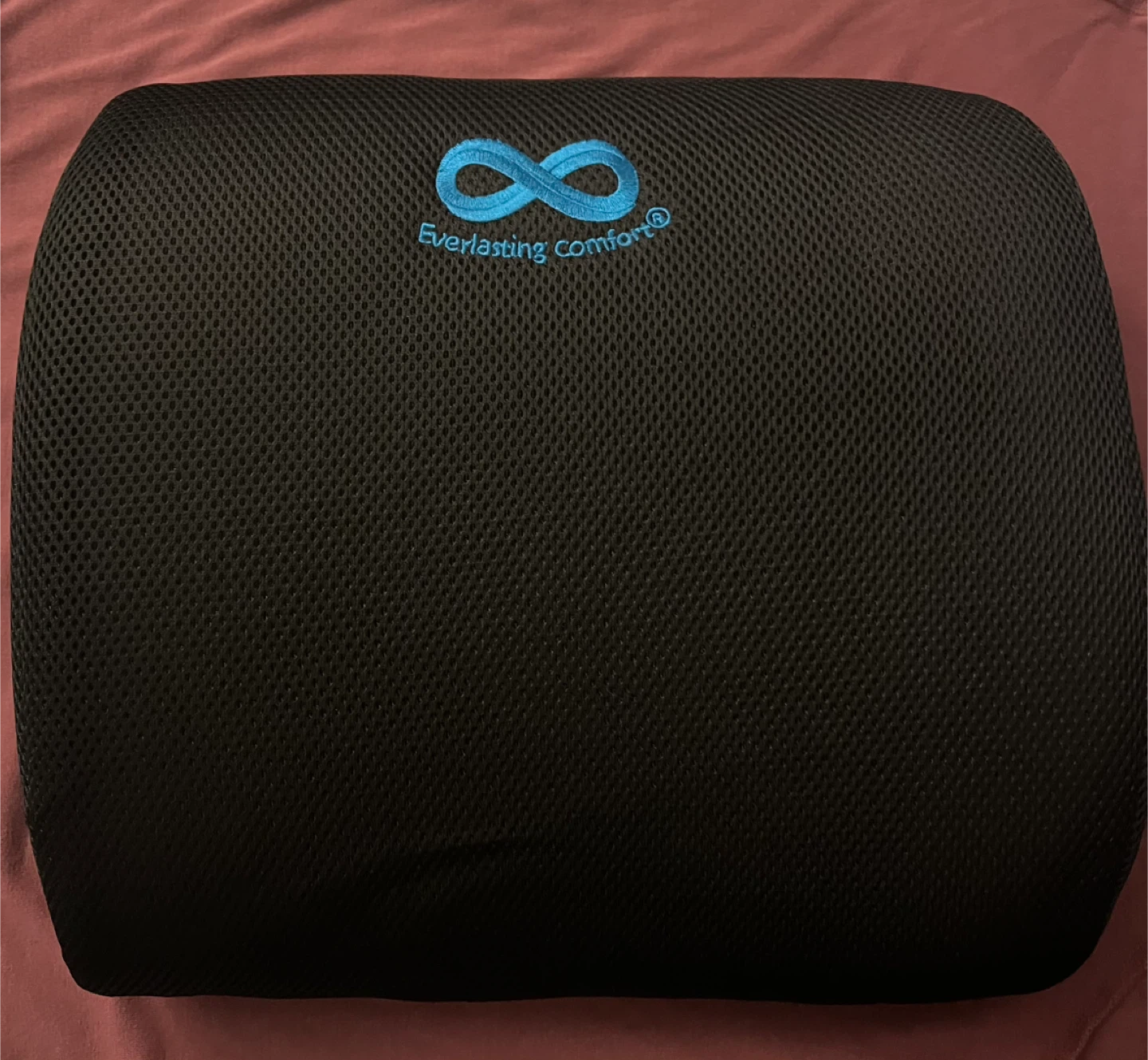 Everlasting Comfort Black Back Cushion - photo 2