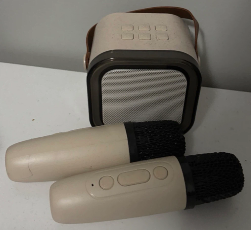 Portable Bluetooth Speaker with 2 Microphones