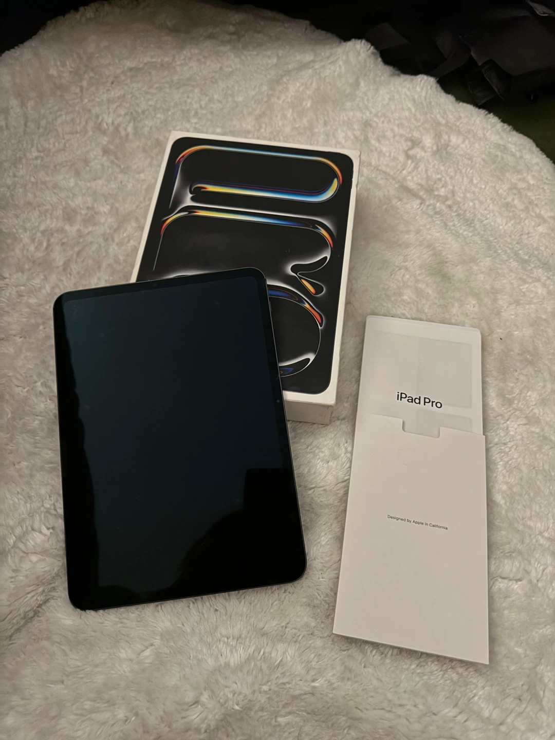 Apple iPad M4 256 GB - photo 4