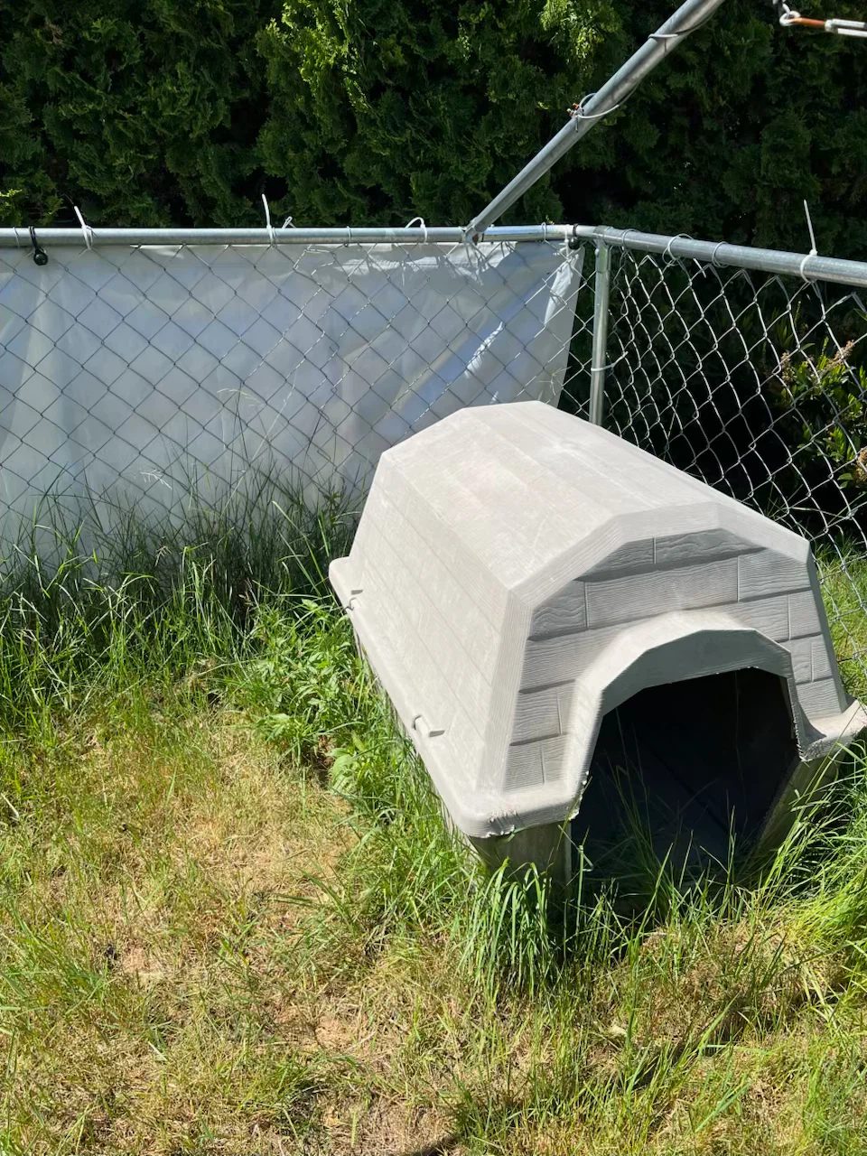 Plastic Dog House