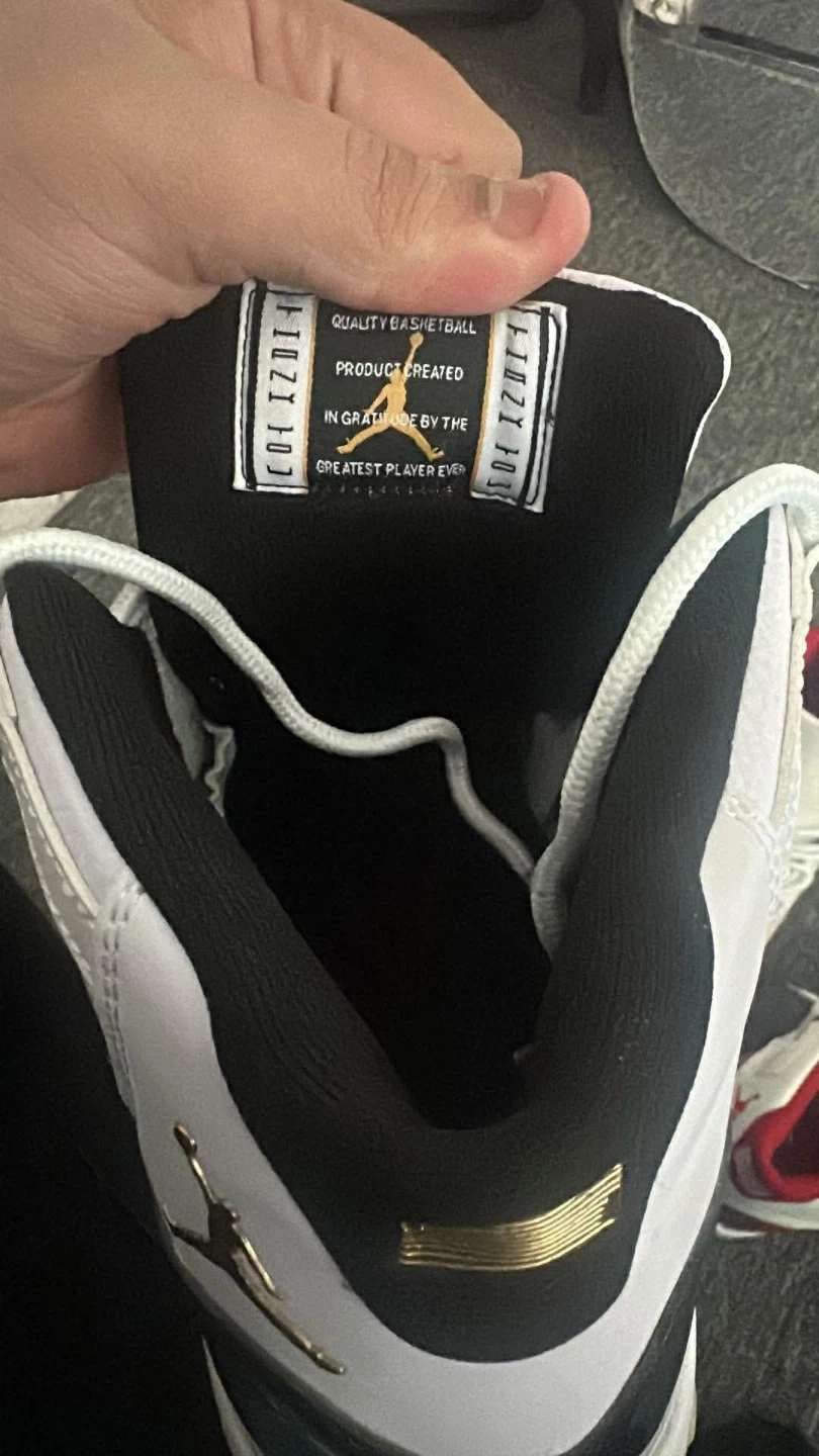 Air Jordan 11 Retro DMP gratitude.