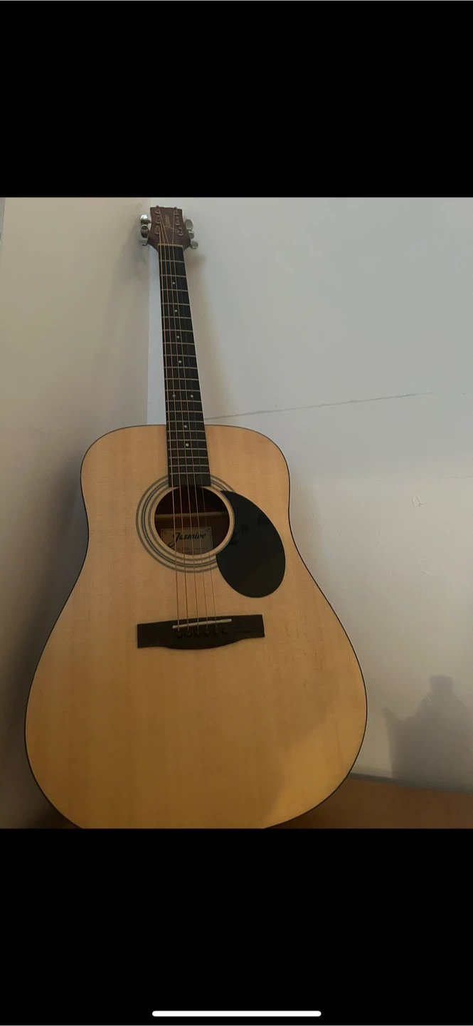 Jasmine Acoustic Guitar