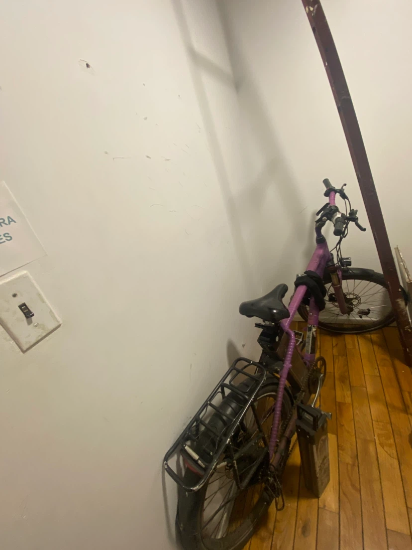 Purple Bicycle