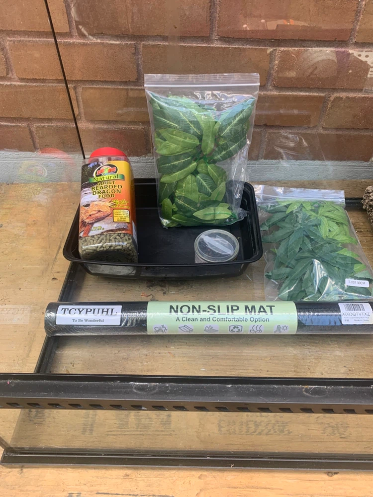 Terrarium Tank with Accessories - photo 4
