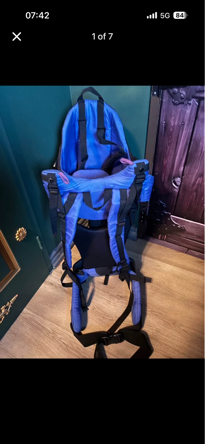 Blue Child Carrier Backpack