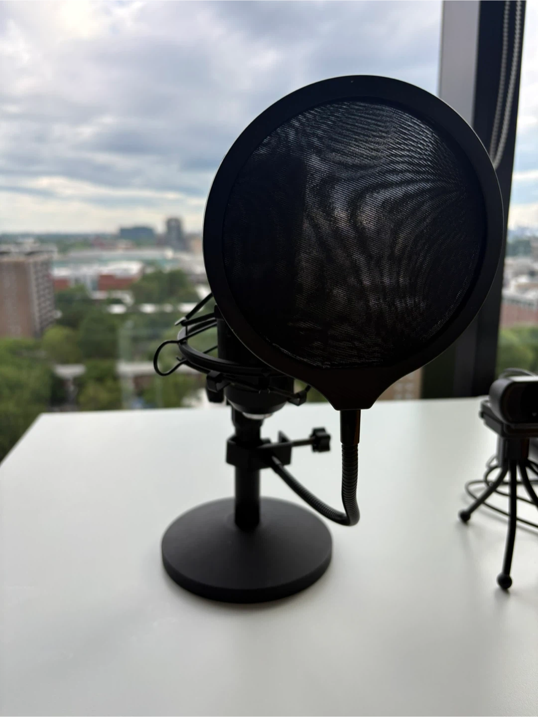 Microphone with Pop Filter and Stand