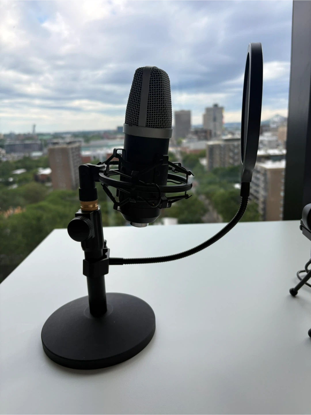 Microphone with Pop Filter and Stand - photo 2