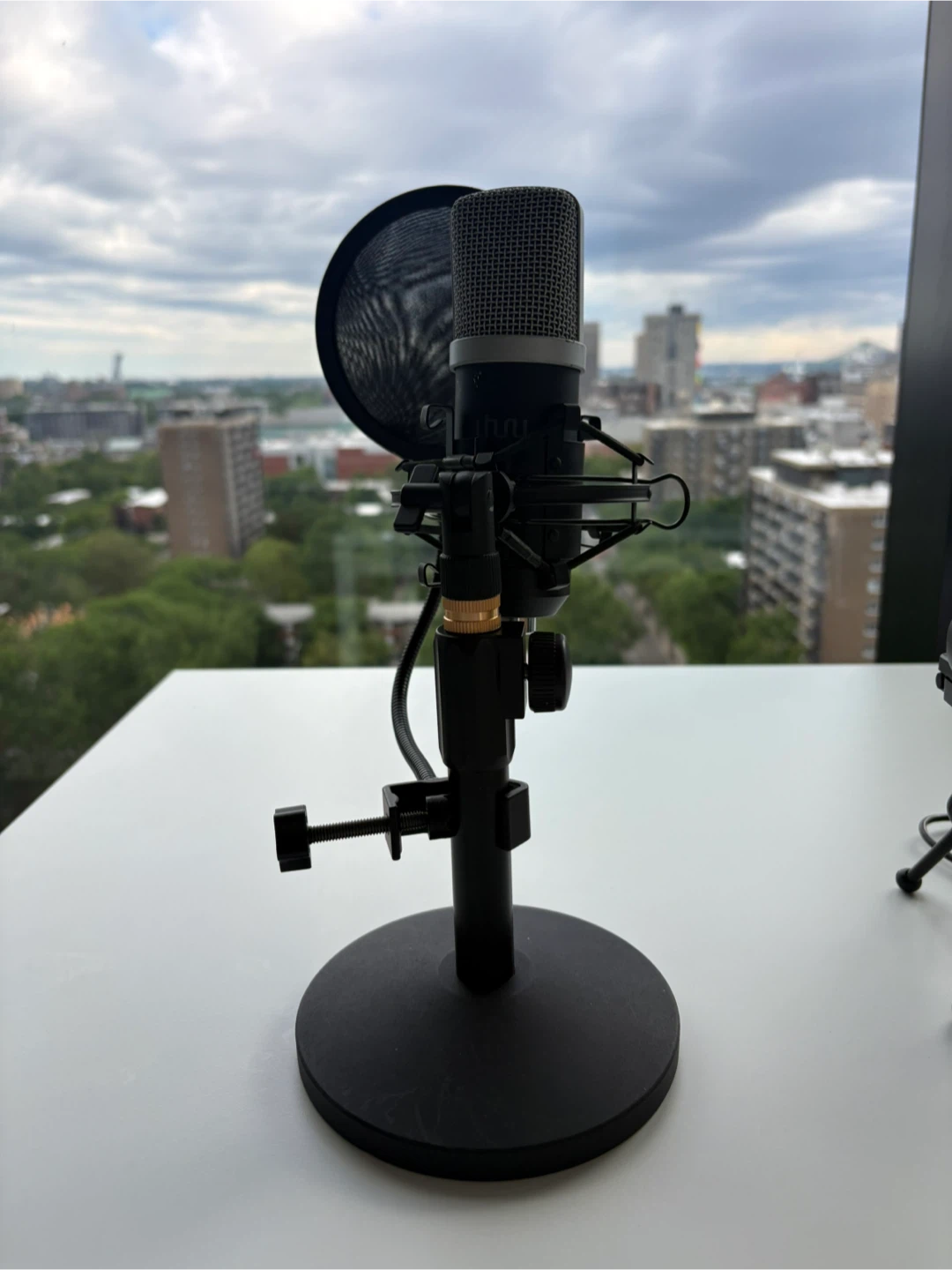 Microphone with Pop Filter and Stand - photo 3