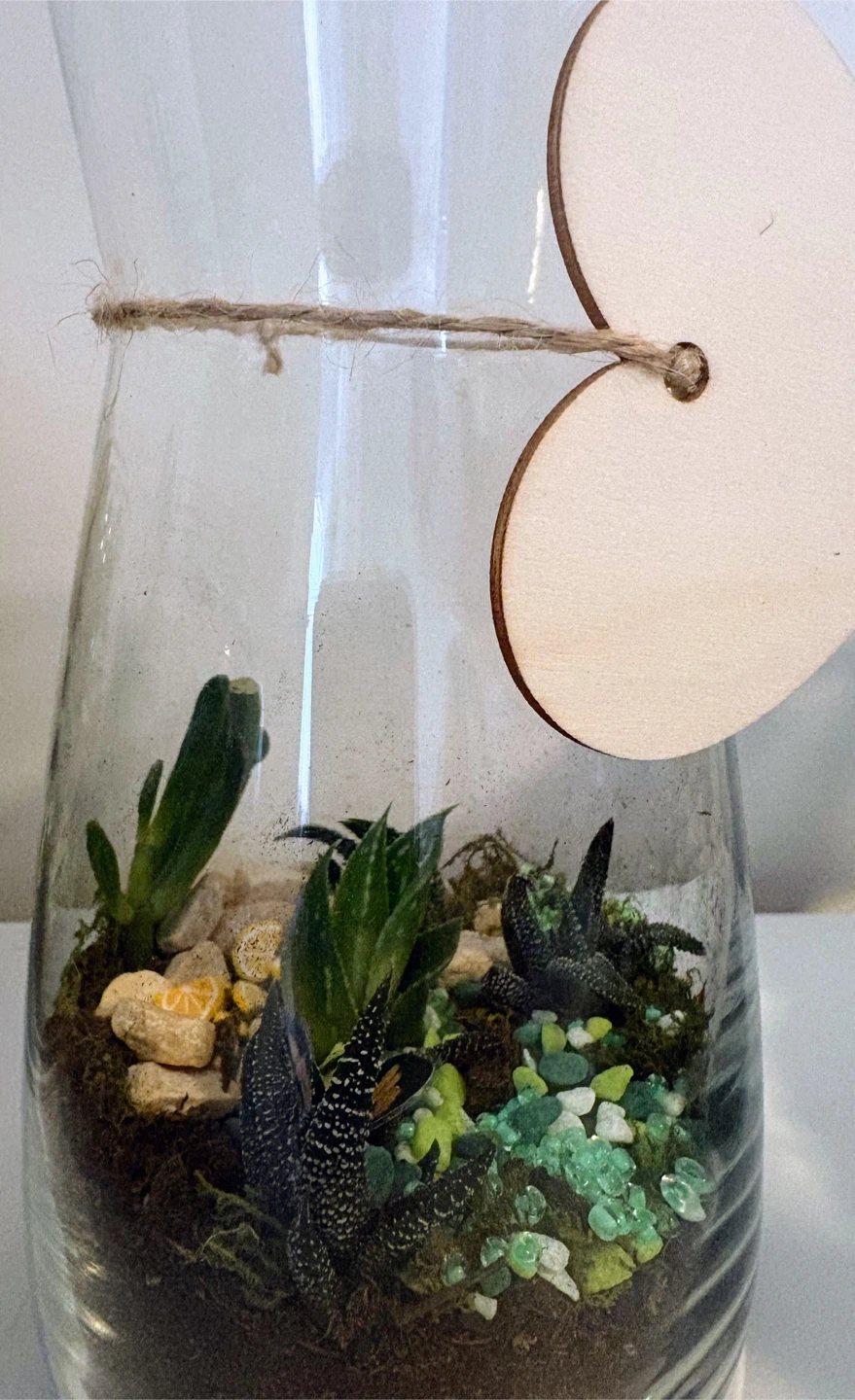 Succulent Terrarium in Glass Jar