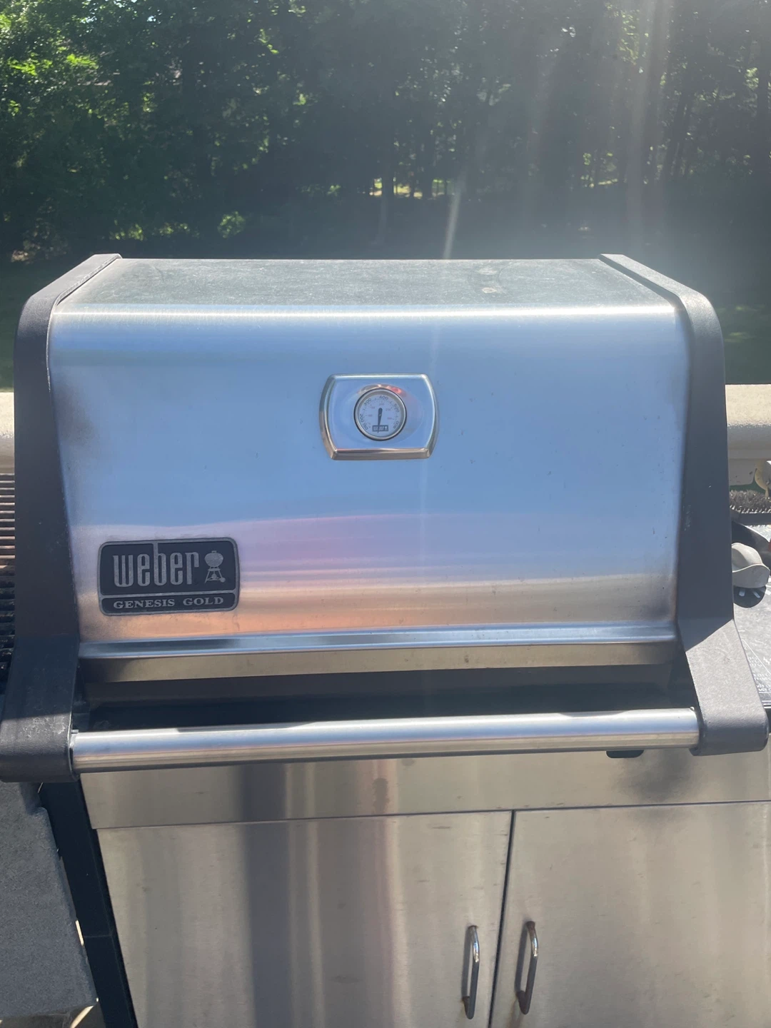 Weber barbecue grill