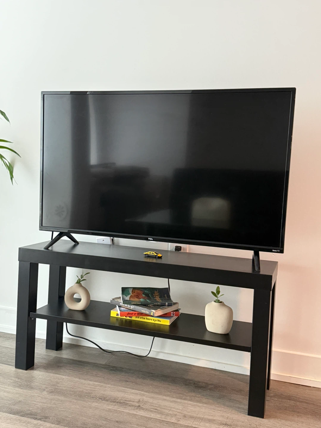 Television