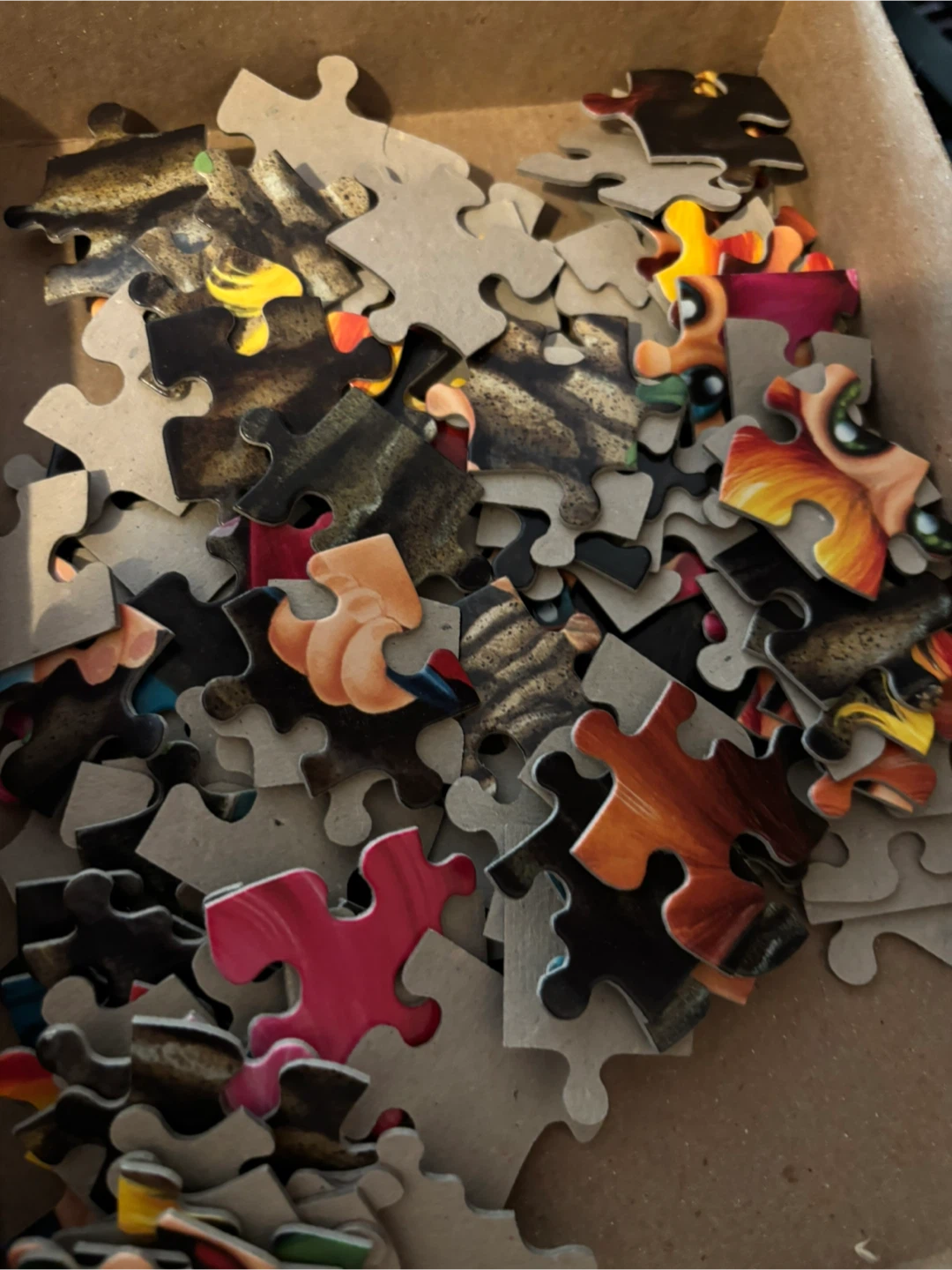 Puzzle 100 pieces （canada map and Hoyle） - photo 4