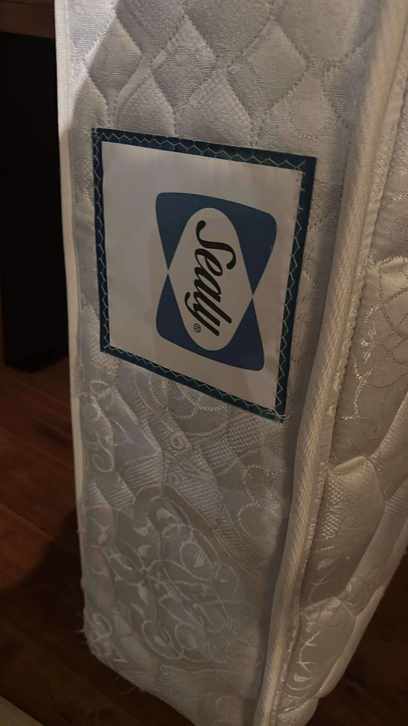Sealy Mattress