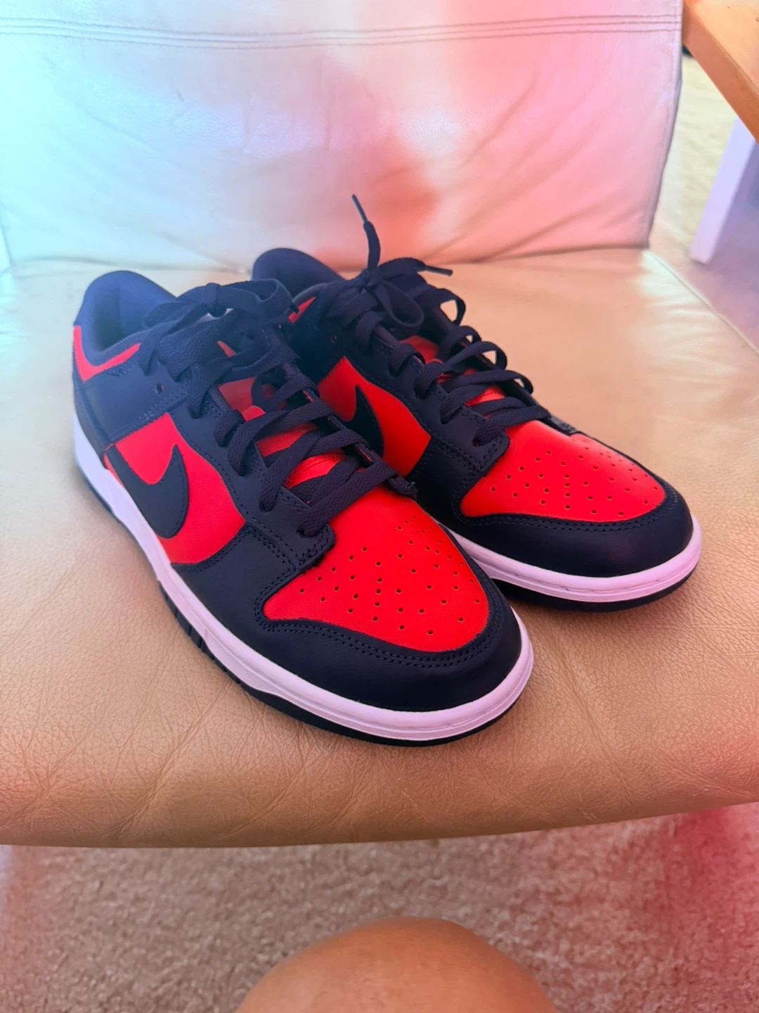 Nike Dunk Low Red and Navy Sneakers