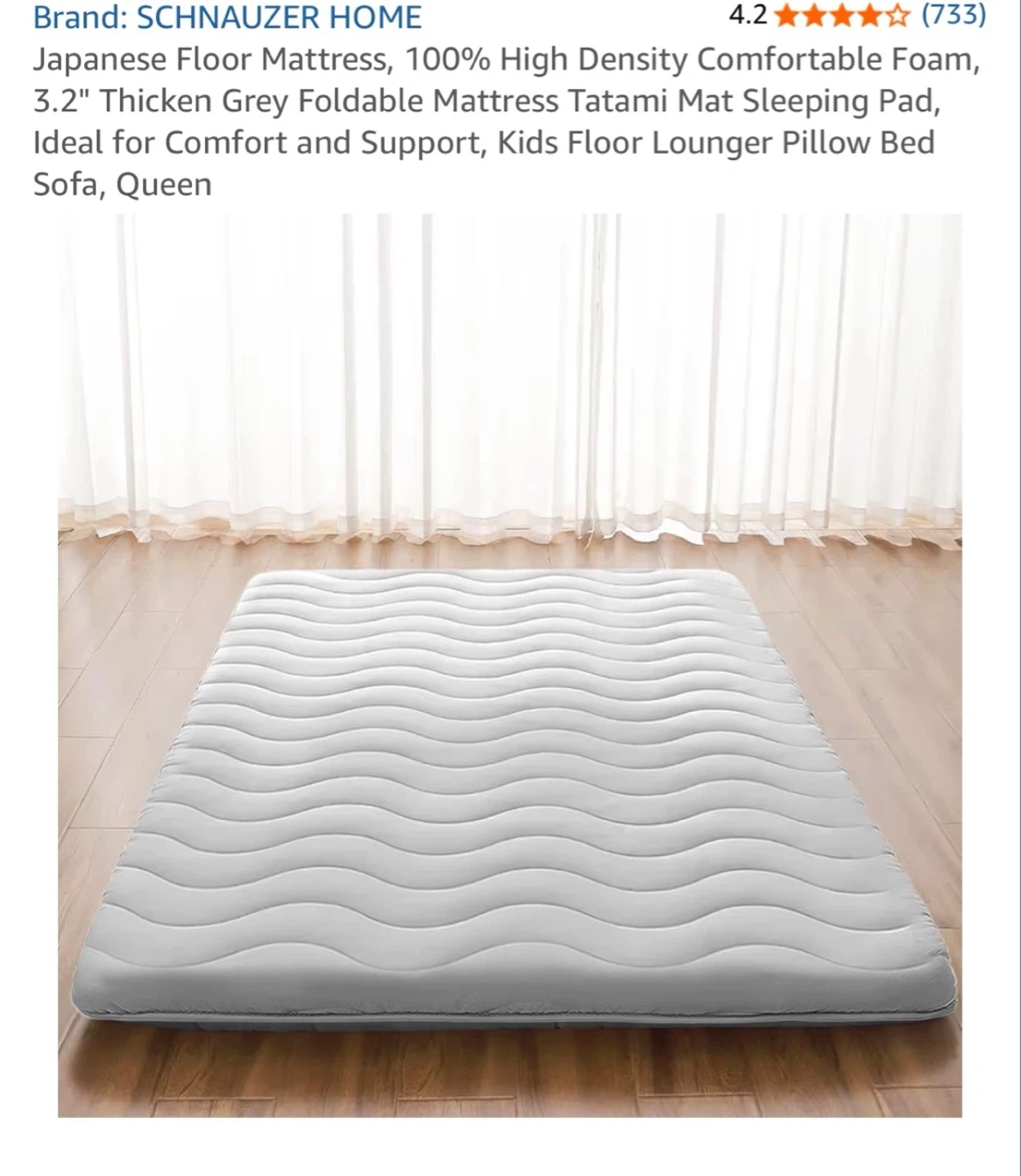 SCHNAUZER HOME Japanese Floor Mattress Queen Grey