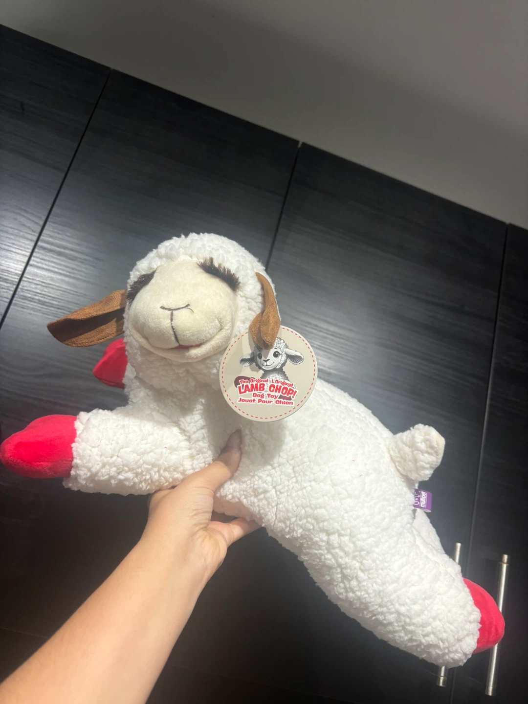 Brand new jumbo lamb chop toy