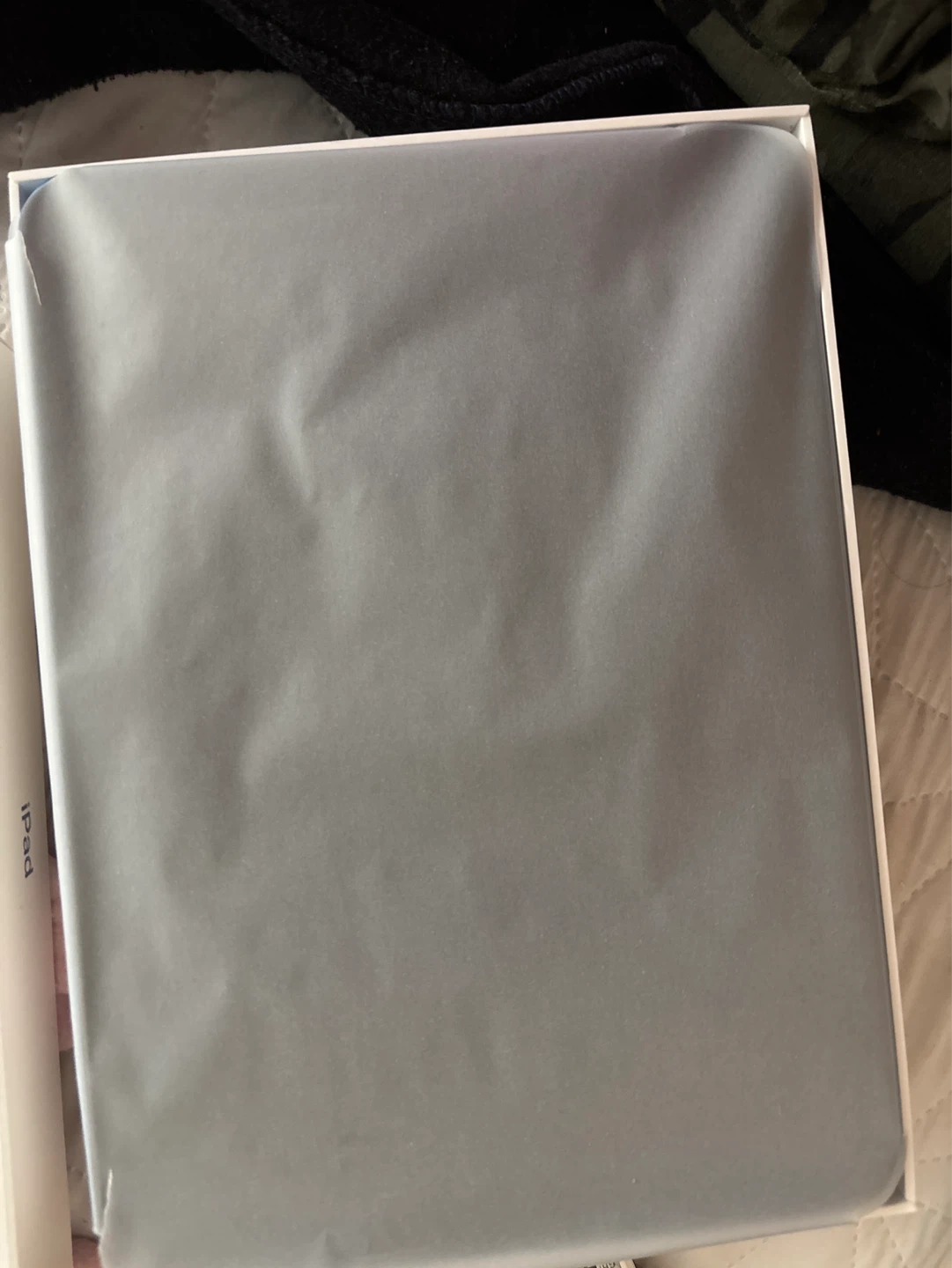 Apple iPad - photo 5