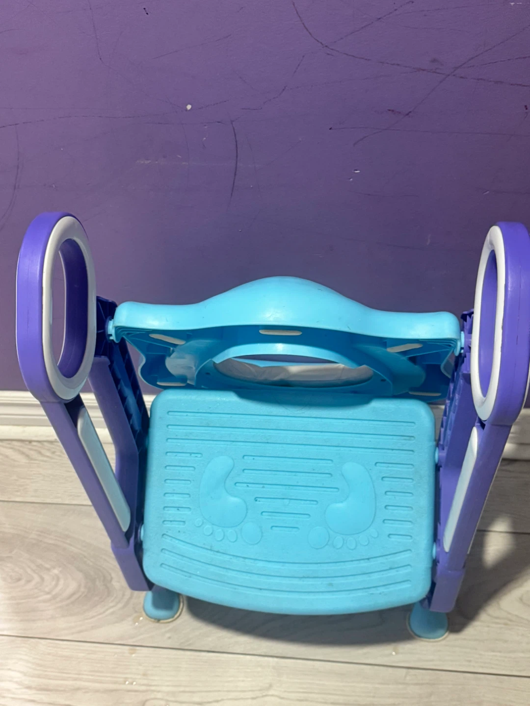 Blue and Purple Potty Training Chair with Step Stool