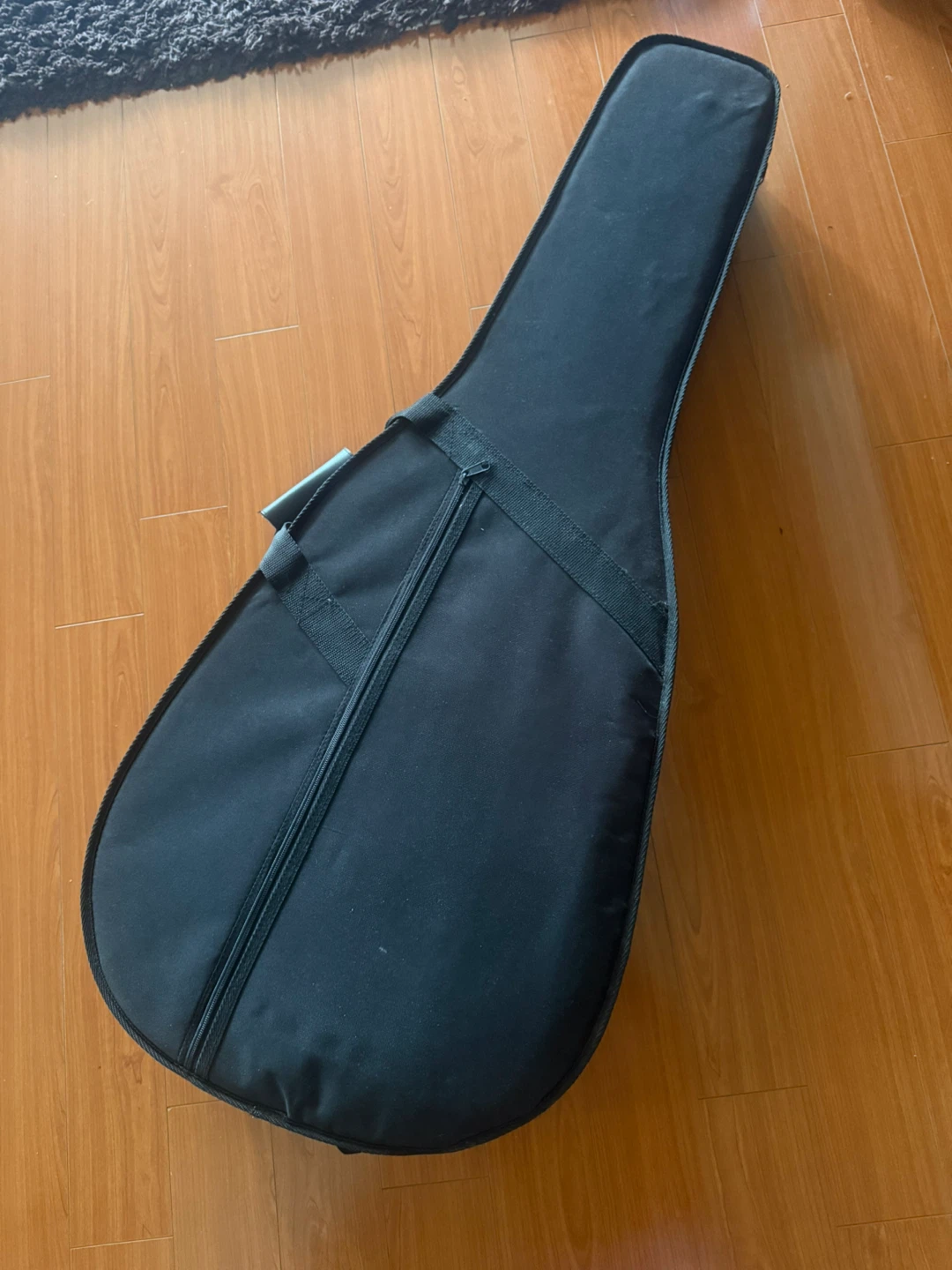 Esteban Steel String Guitar Bundle - photo 2