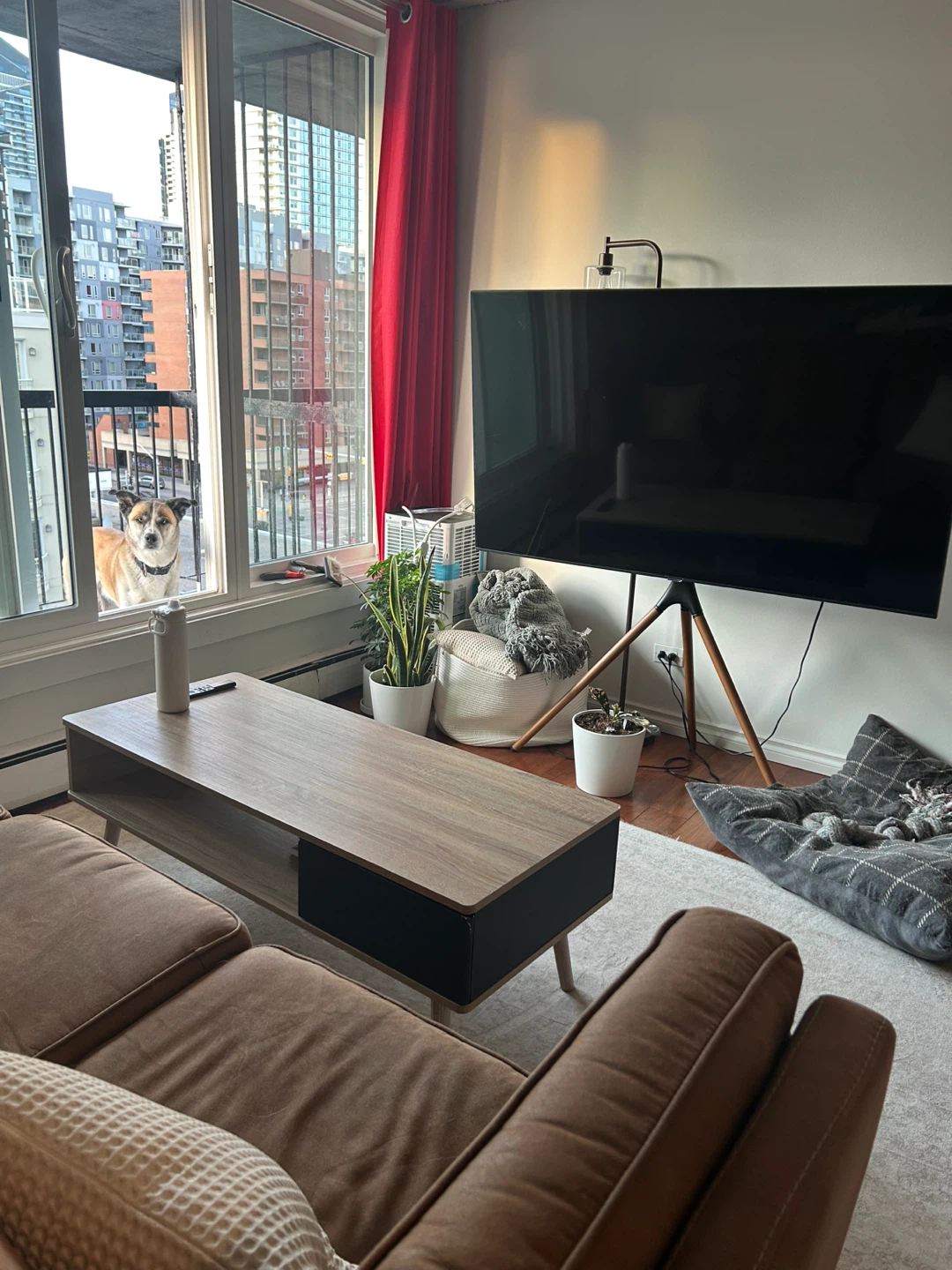 King Furnished Room to Rent - photo 3