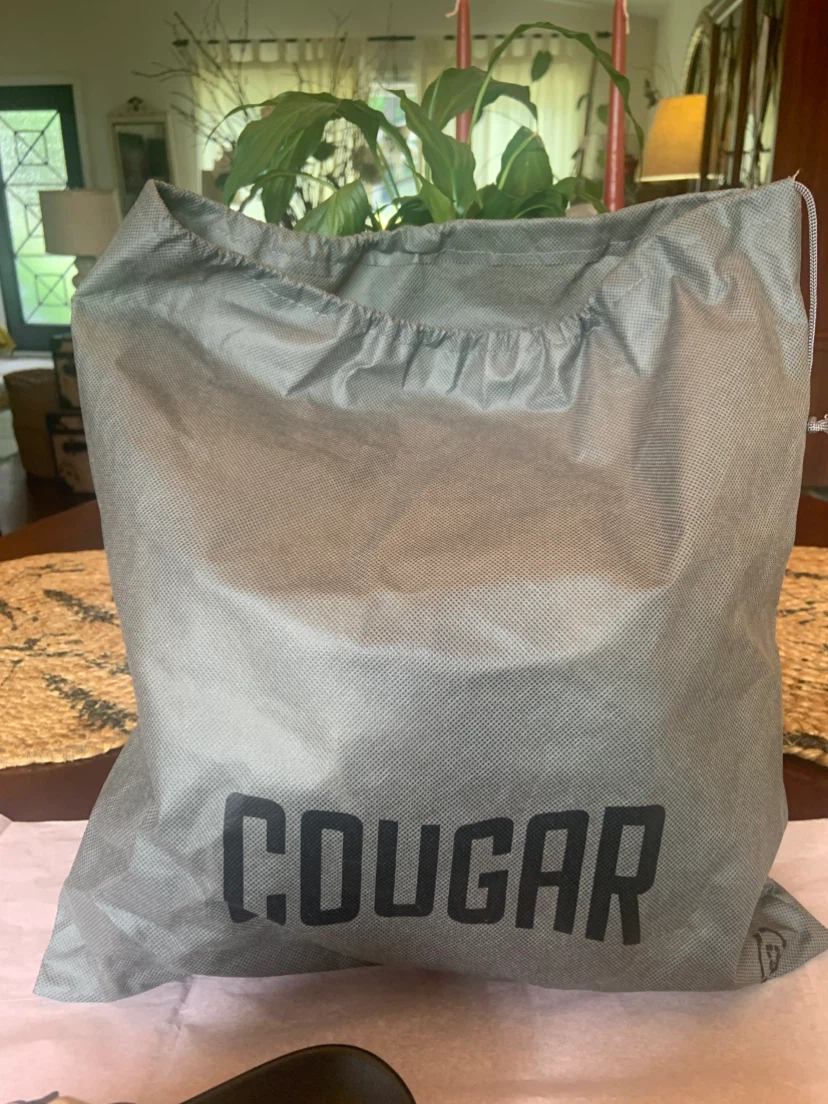 NEW WOMEN’S METALLIC SILVER LEATHER PEPA- L COUGAR  PLATFORMS ! - photo 2