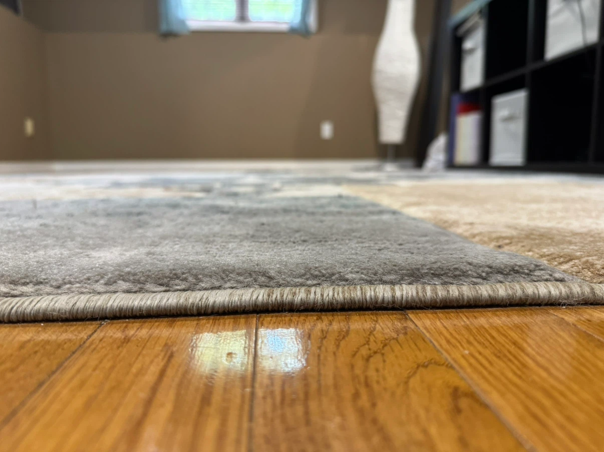Area Rug - photo 4