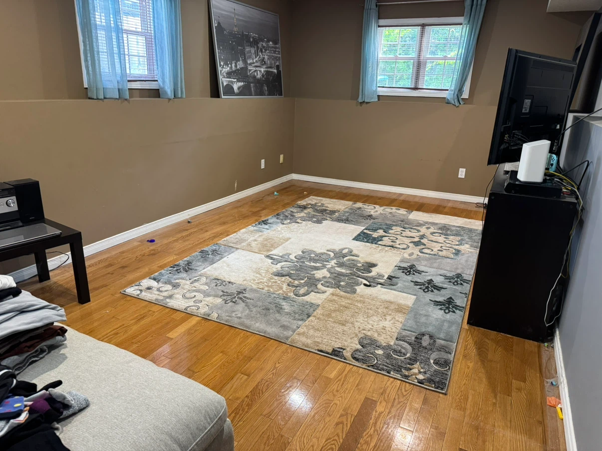 Area Rug - photo 5
