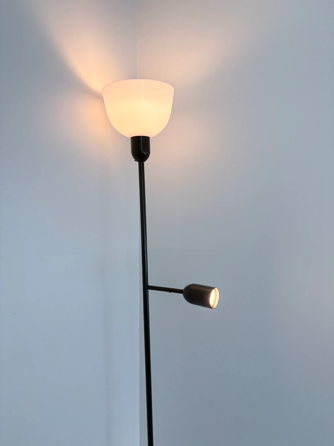 Floor lamp with adjustable reading light